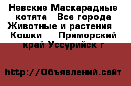 Невские Маскарадные котята - Все города Животные и растения » Кошки   . Приморский край,Уссурийск г.